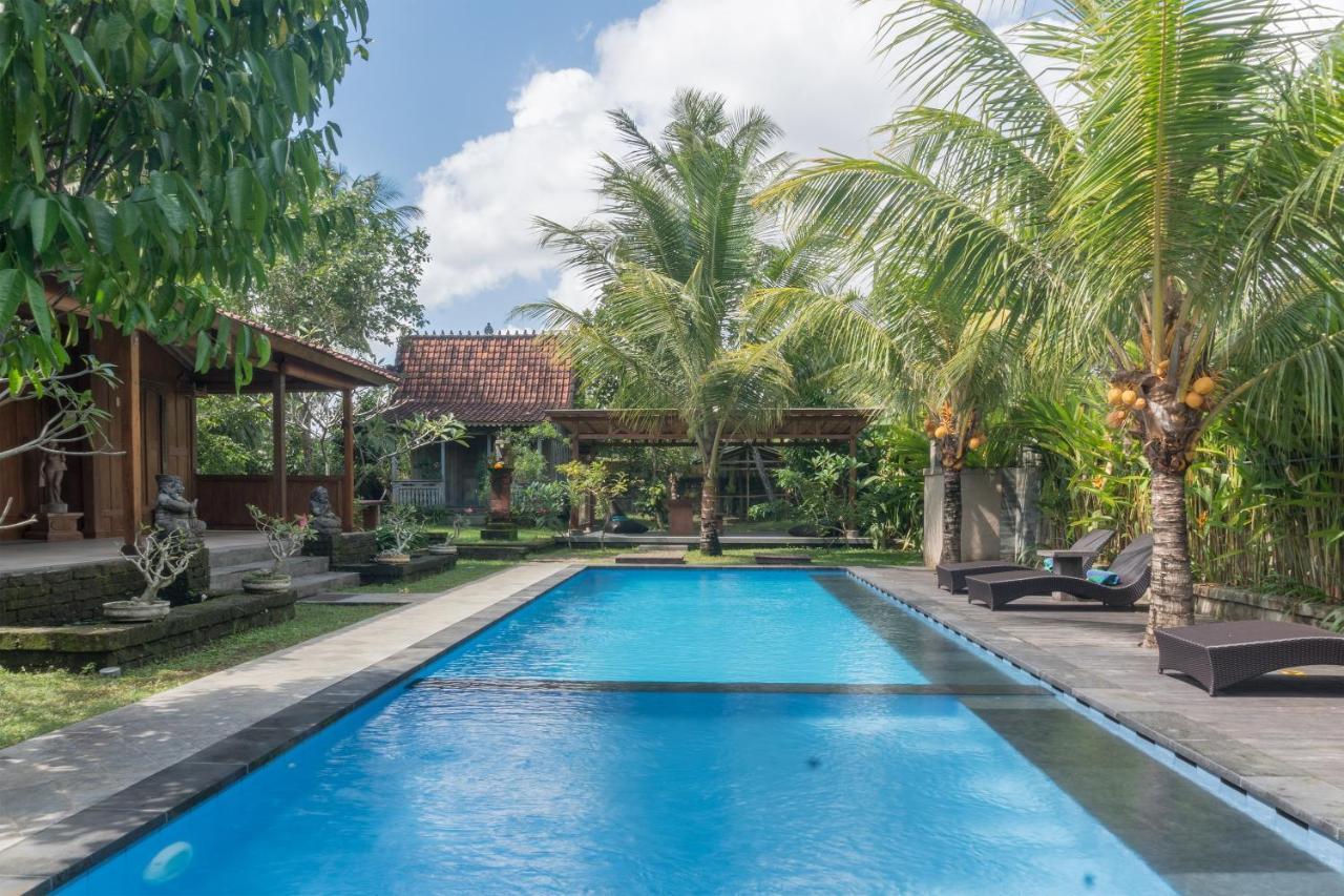Nunu Bali Eco Friendly Retreat 호텔 캉구 외부 사진