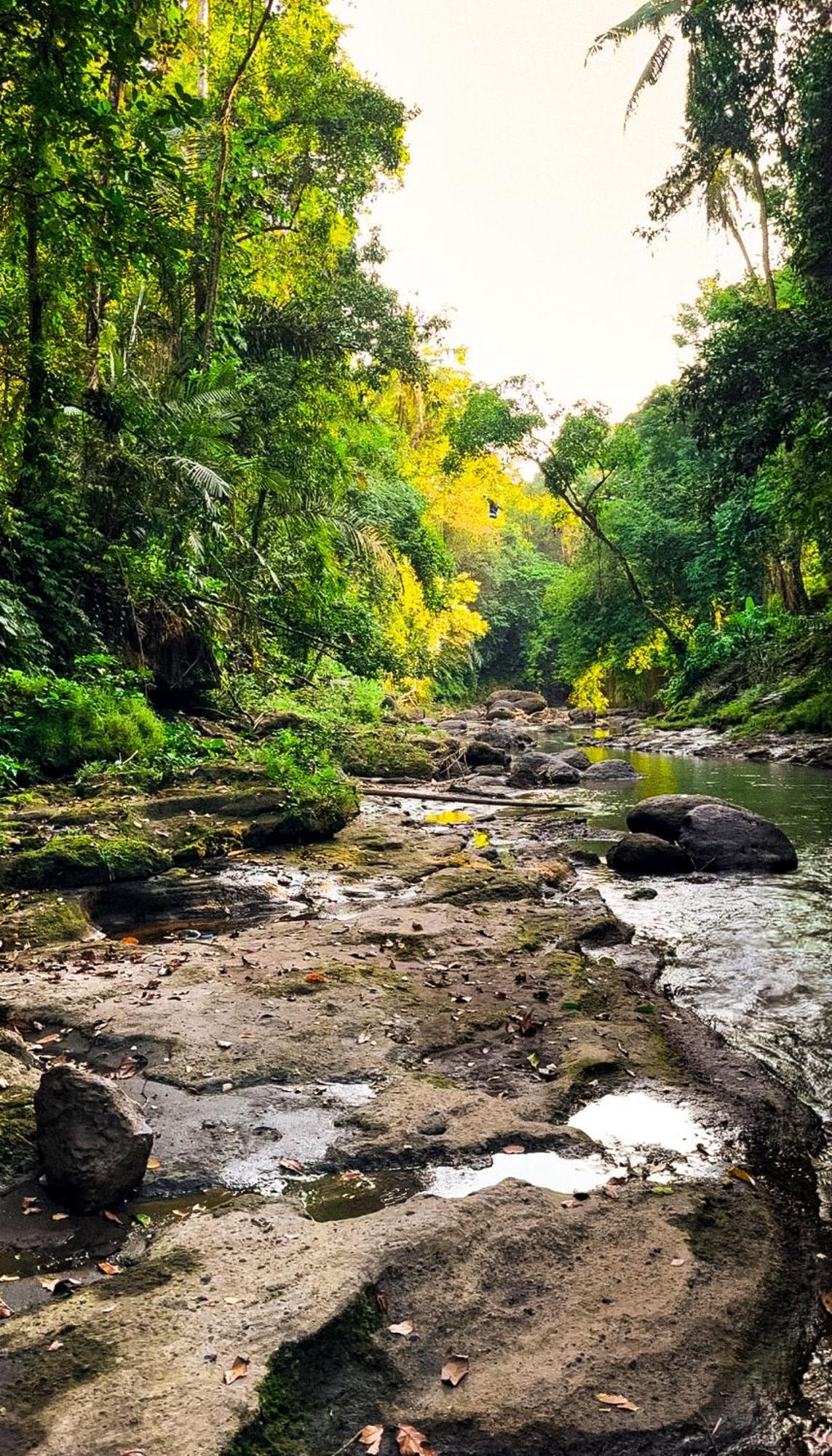 Nunu Bali Eco Friendly Retreat 호텔 캉구 외부 사진