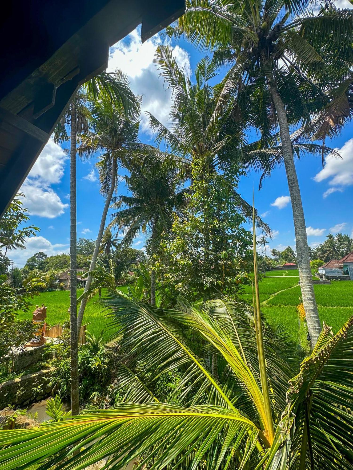 Nunu Bali Eco Friendly Retreat 호텔 캉구 외부 사진