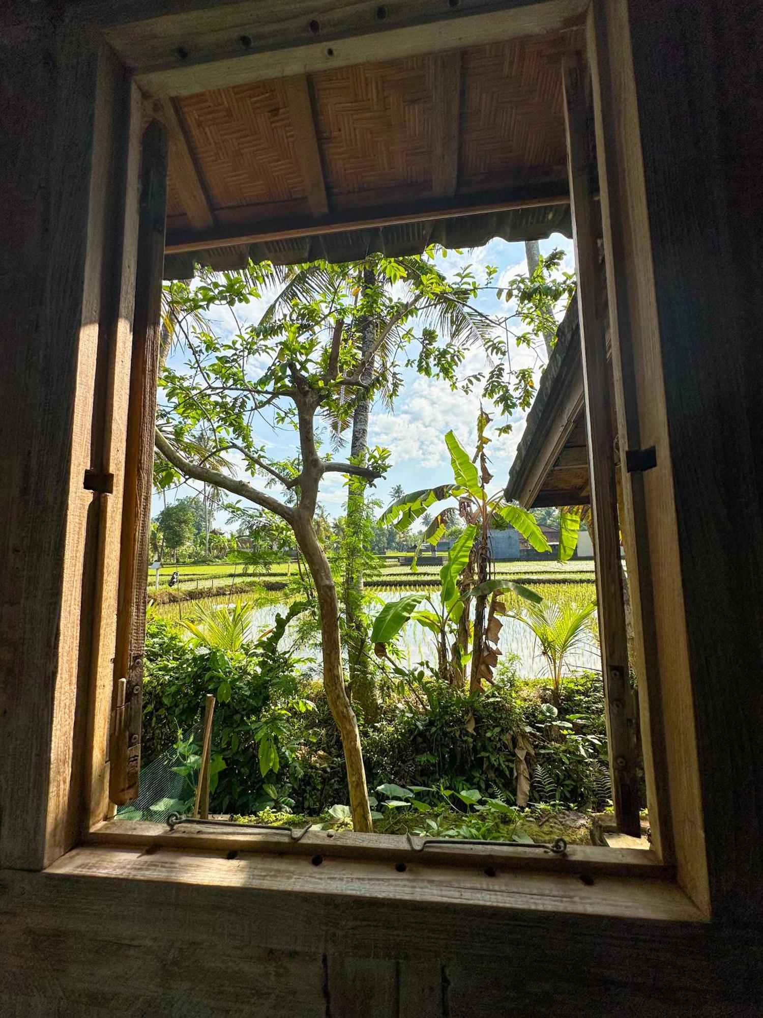 Nunu Bali Eco Friendly Retreat 호텔 캉구 외부 사진